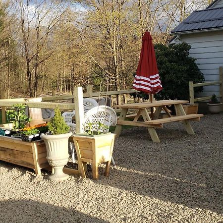 Welcome To Osborne Creek! Harpursville Exterior photo